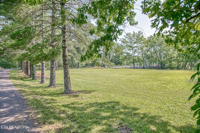 260 Fate Ivy Rd, Monterey, TN 38574 - photo 32