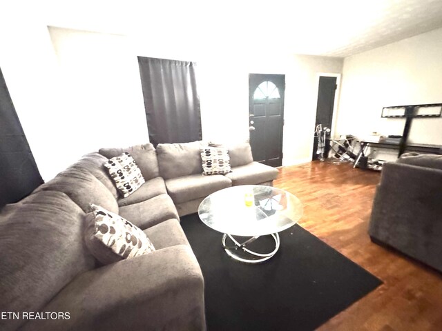 719 E Emerald Ave, Knoxville, TN 37917 - photo 5