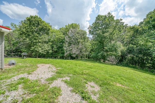 2330 Hilham Hwy, Livingston, TN 38570 - photo 10