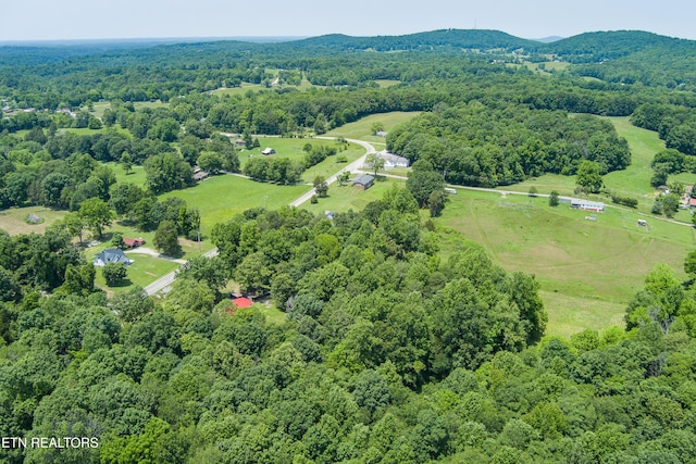 2330 Hilham Hwy, Livingston, TN 38570 - photo 30