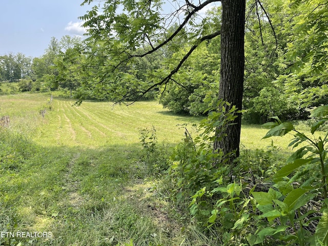 2330 Hilham Hwy, Livingston, TN 38570 - photo 24