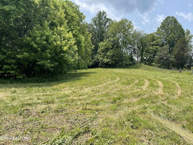 2330 Hilham Hwy, Livingston, TN 38570 - photo 20