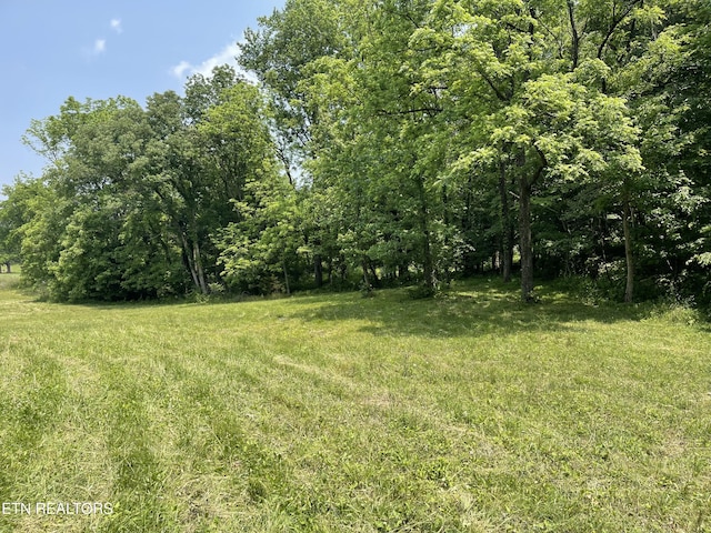 2330 Hilham Hwy, Livingston, TN 38570 - photo 23