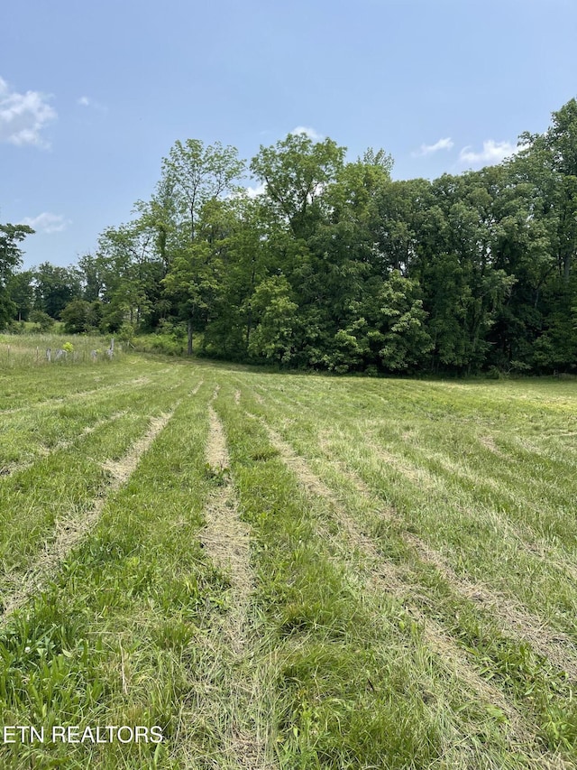 2330 Hilham Hwy, Livingston, TN 38570 - photo 54