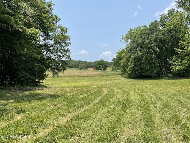 2330 Hilham Hwy, Livingston, TN 38570 - photo 17