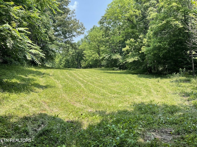 2330 Hilham Hwy, Livingston, TN 38570 - photo 18