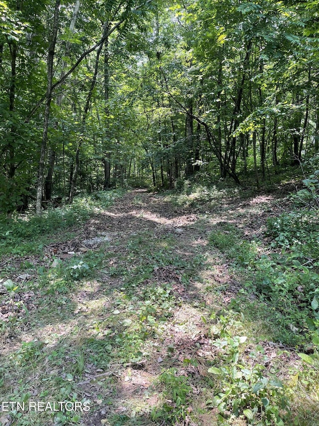 2330 Hilham Hwy, Livingston, TN 38570 - photo 55
