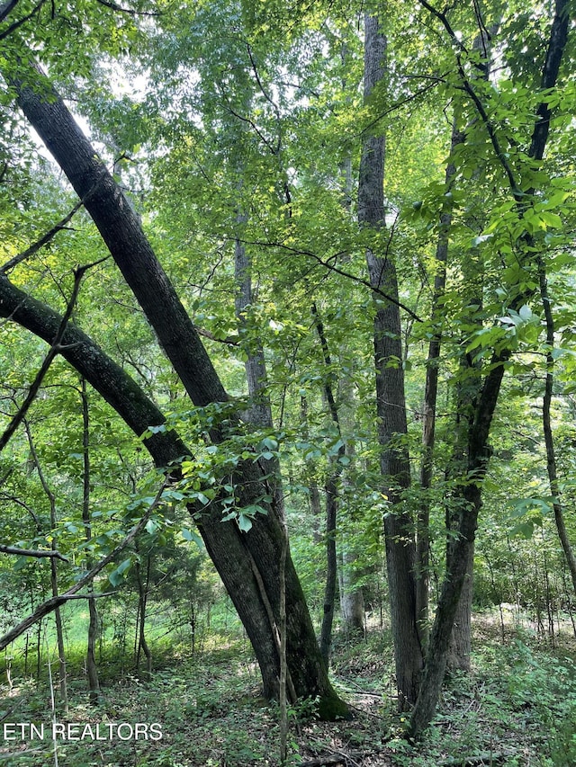 2330 Hilham Hwy, Livingston, TN 38570 - photo 29