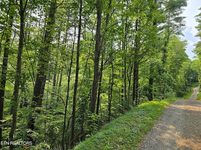 Towee Mountain Dr, Reliance, TN 37369