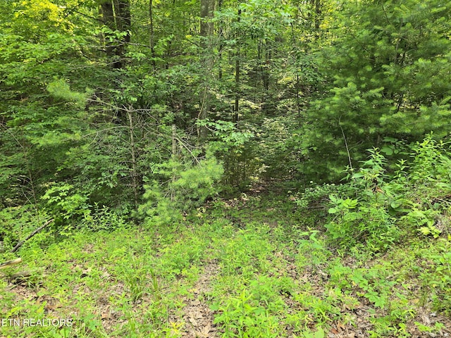 Towee Mountain Dr, Reliance, TN 37369