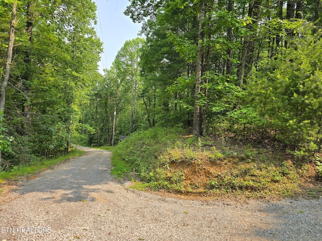 Towee Mountain Dr, Reliance, TN 37369