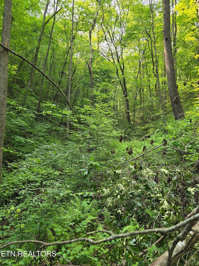 Towee Mountain Dr, Reliance, TN 37369