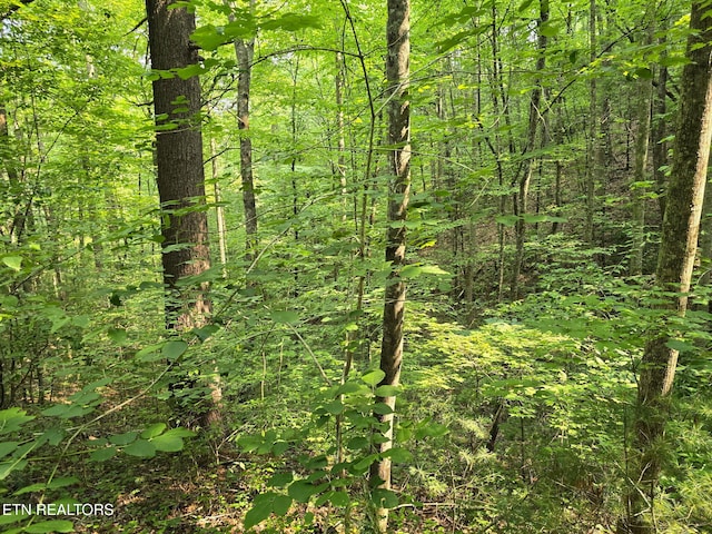 Towee Mountain Dr, Reliance, TN 37369