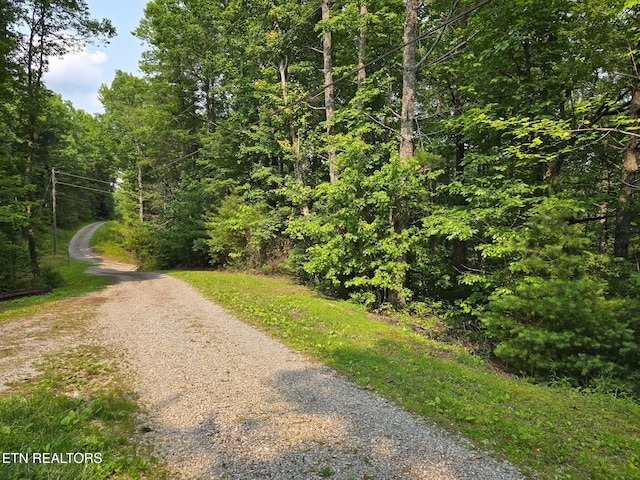 Towee Mountain Dr, Reliance, TN 37369