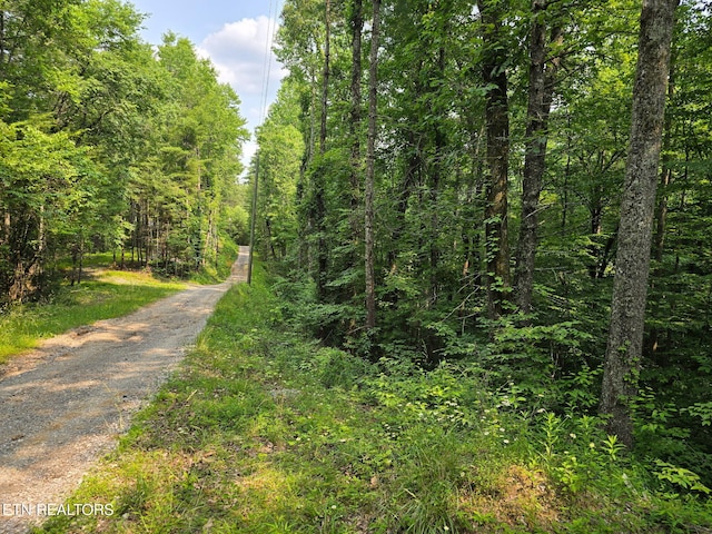 Towee Mountain Dr, Reliance, TN 37369