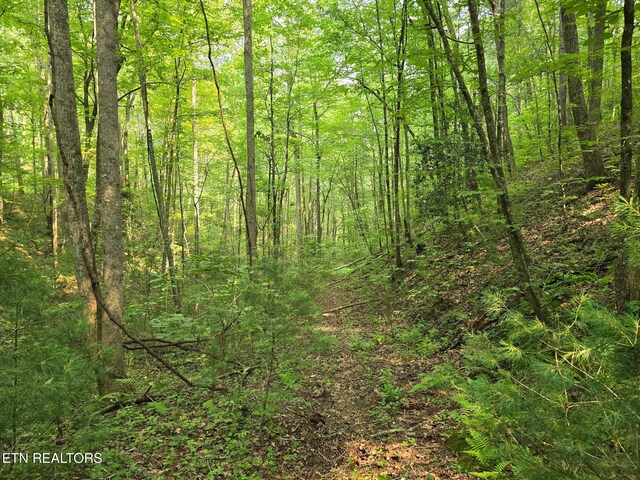 Towee Mountain Dr, Reliance, TN 37369