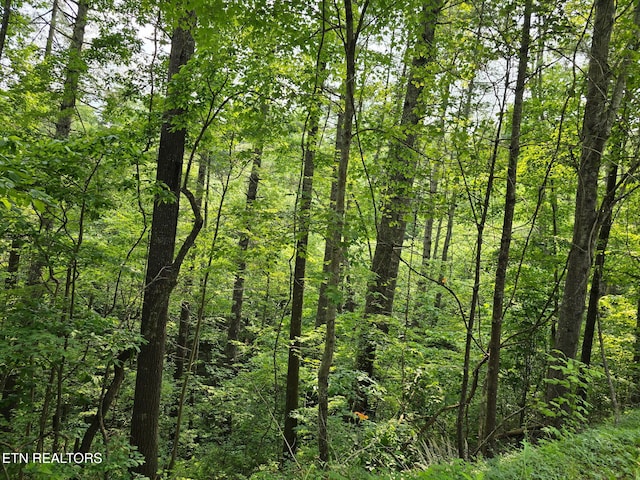 Towee Mountain Dr, Reliance, TN 37369