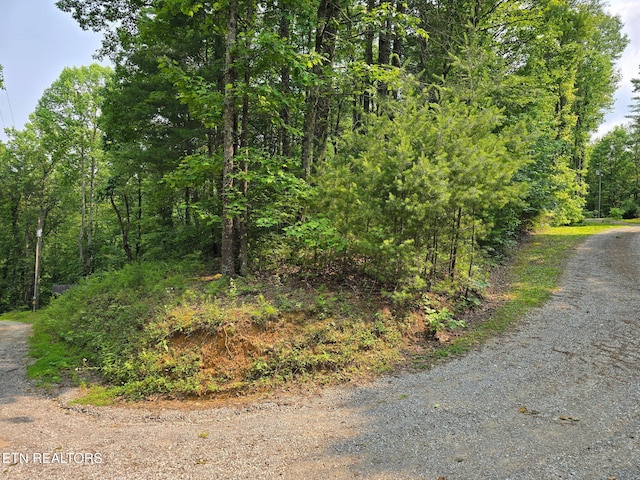 Towee Mountain Dr, Reliance, TN 37369