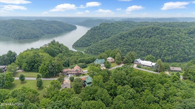 158 Dillon Rd, Baxter, TN 38544 - drone / aerial view of a forest and a large body of water