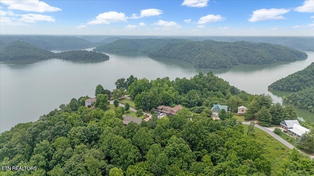 158 Dillon Rd, Baxter, TN 38544 - drone / aerial view of a nearby body of water and a heavily wooded area