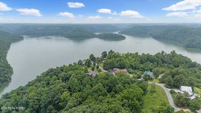 158 Dillon Rd, Baxter, TN 38544 - bird's eye view of a large body of water and a heavily wooded area