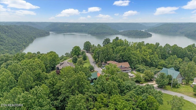 158 Dillon Rd, Baxter, TN 38544 - drone / aerial view of a large body of water and a heavily wooded area