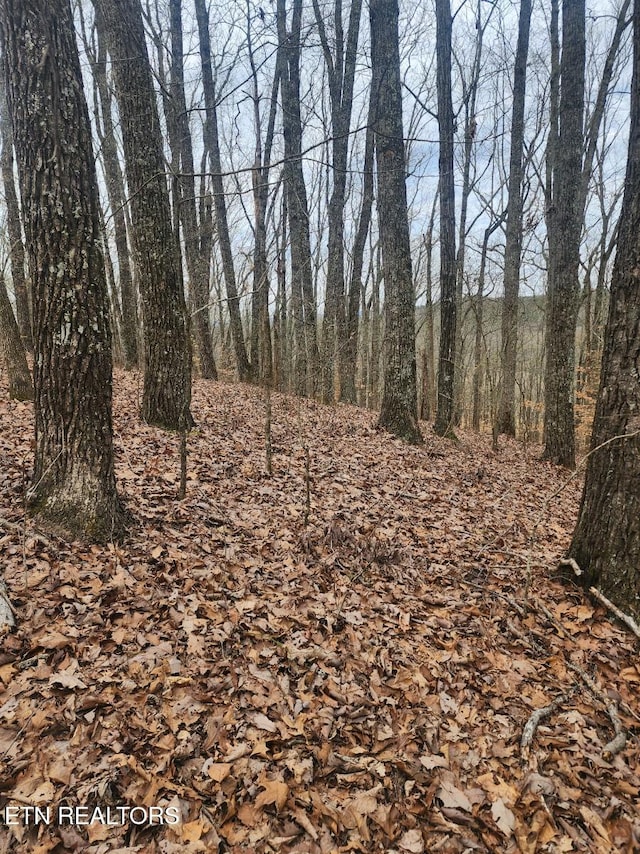 Upper Concord Rd, Ten Mile, TN 37880