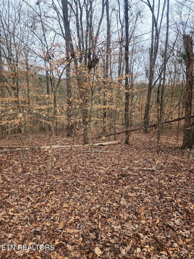 Upper Concord Rd, Ten Mile, TN 37880