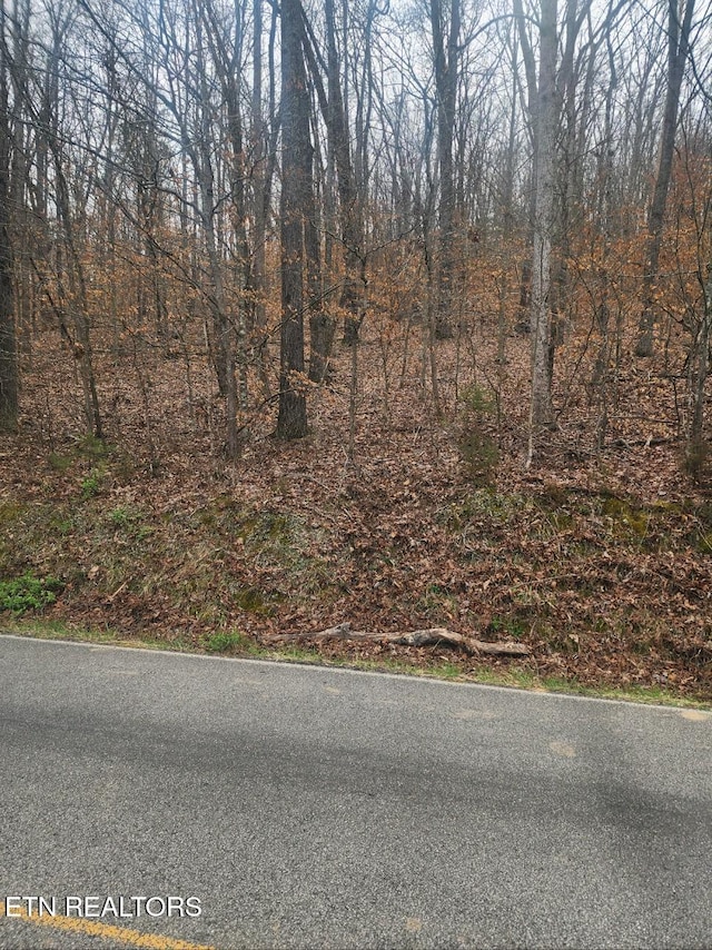 Upper Concord Rd, Ten Mile, TN 37880