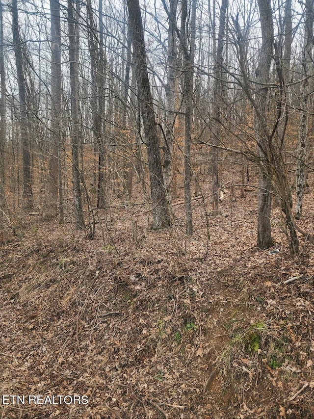 Upper Concord Rd, Ten Mile, TN 37880