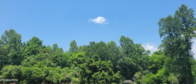 Unicoi Church Rd, Tellico Plains, TN 37385 - photo 7