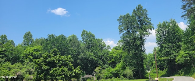 Unicoi Church Rd, Tellico Plains, TN 37385 - photo 3