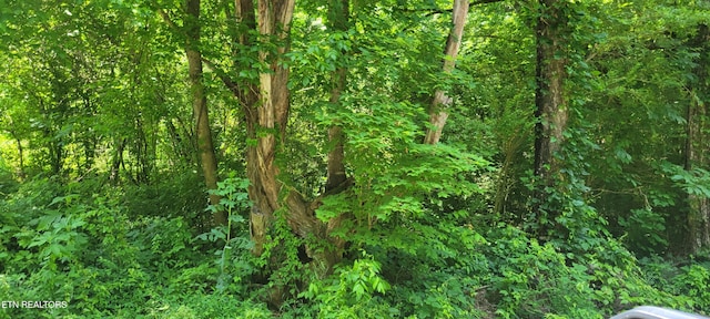 Unicoi Church Rd, Tellico Plains, TN 37385 - photo 1