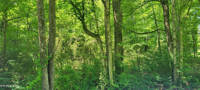 Unicoi Church Rd, Tellico Plains, TN 37385 - photo 6