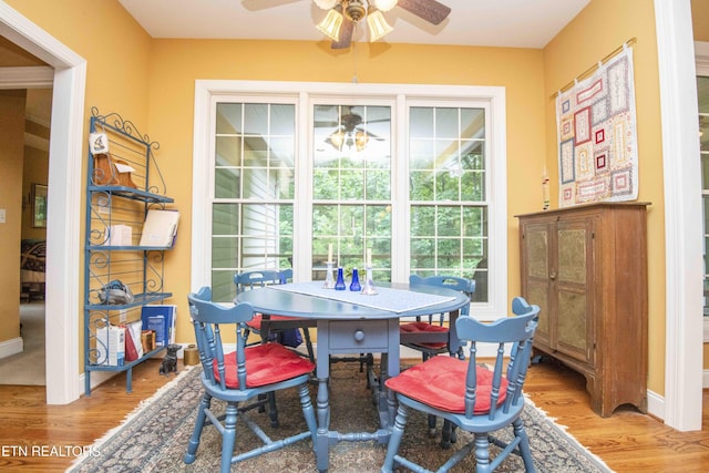 308 Tahlequah Dr, Loudon, TN 37774 - photo 18
