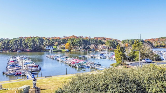 308 Tahlequah Dr, Loudon, TN 37774 - photo 45