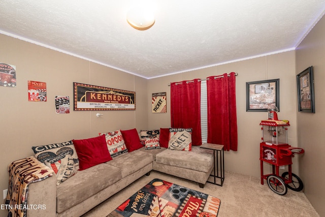 1193 Johnson Rd, Seymour, TN 37865 - living area featuring carpet, ornamental molding, and a textured ceiling