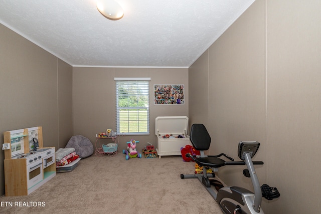 1193 Johnson Rd, Seymour, TN 37865 - game room with carpet floors and crown molding