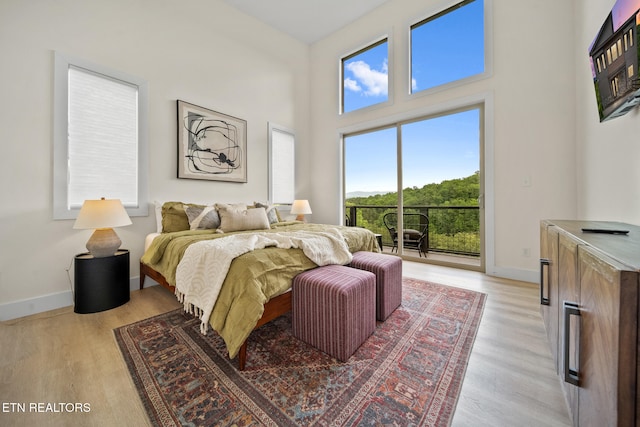 2955 Lightning Strike Dr, Sevierville, TN 37862 - bedroom with access to outside, light wood-type flooring, baseboards, and a towering ceiling
