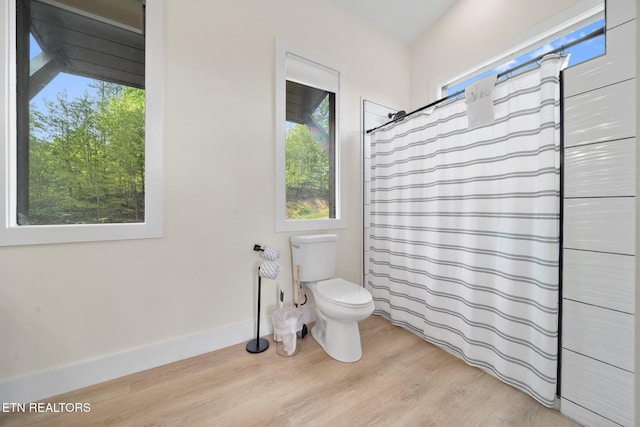 2955 Lightning Strike Dr, Sevierville, TN 37862 - full bathroom featuring toilet, wood finished floors, curtained shower, and baseboards