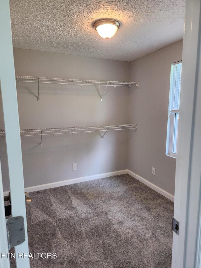 2208 Rifle Range Dr, Knoxville, TN 37918 - photo 16