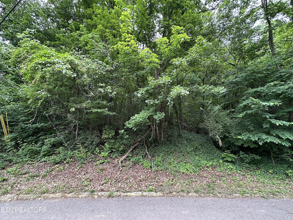 6834 Reddege Rd, Knoxville, TN 37918 - photo 1