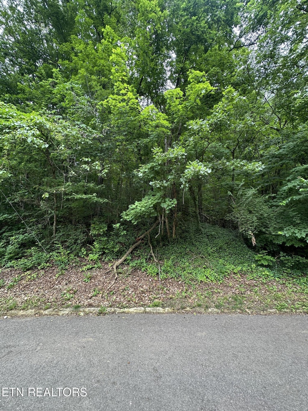 6834 Reddege Rd, Knoxville, TN 37918 - photo 2