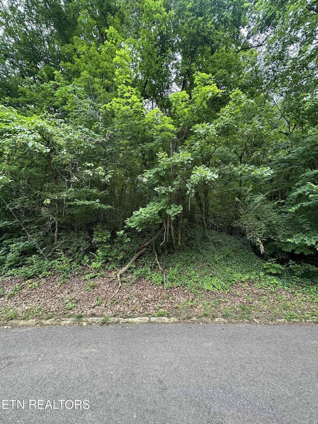 6834 Reddege Rd, Knoxville, TN 37918 - photo 2