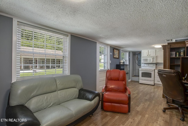 611 E Race St, Kingston, TN 37763 - photo 43