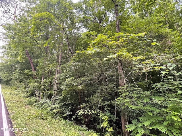 1477 Old Chilhowee Rd, Seymour, TN 37865