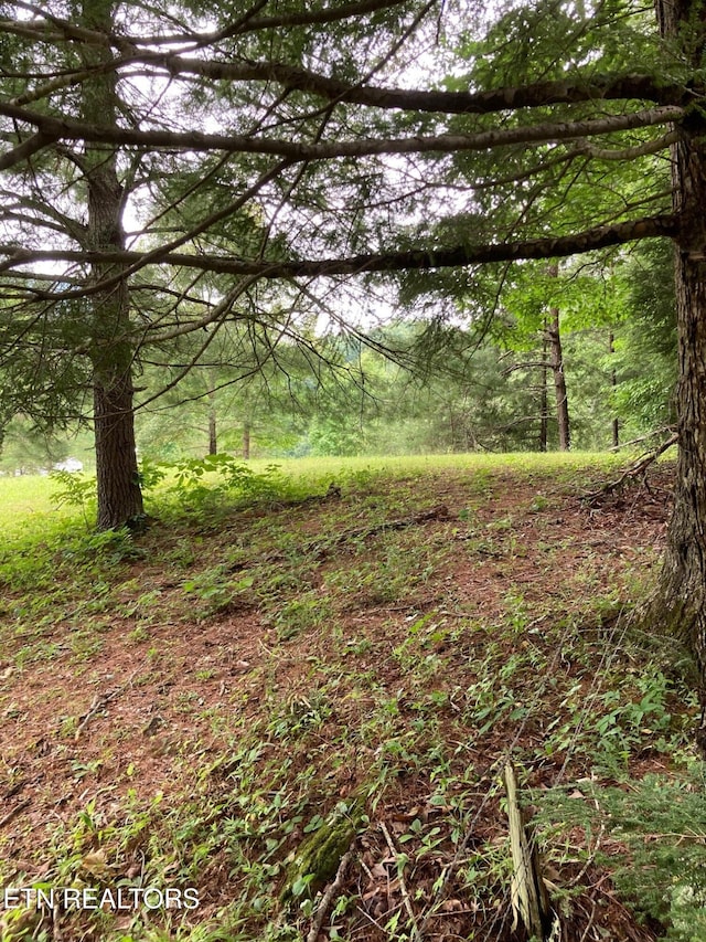 1477 Old Chilhowee Rd, Seymour, TN 37865