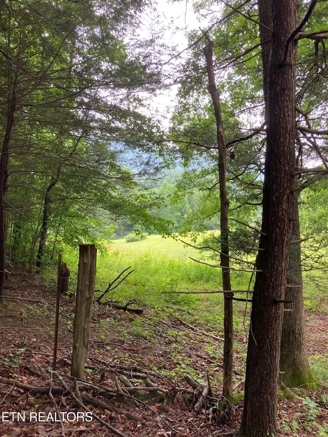 1477 Old Chilhowee Rd, Seymour, TN 37865