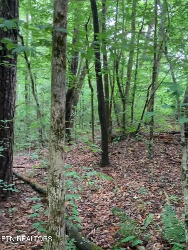 1477 Old Chilhowee Rd, Seymour, TN 37865