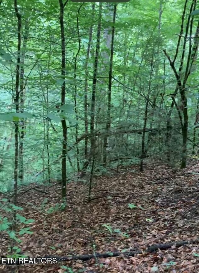 1477 Old Chilhowee Rd, Seymour, TN 37865